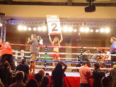 Bash Boxing