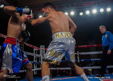Bash Boxing