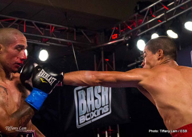 Bash Boxing