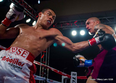 Bash Boxing