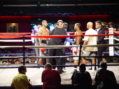 Bash Boxing