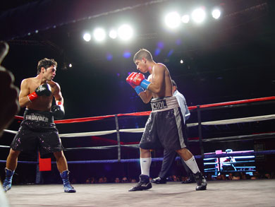 Bash Boxing