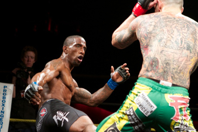 Bash Boxing