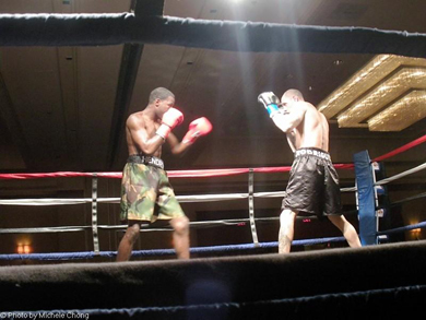 Bash Boxing