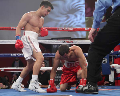 Bash Boxing