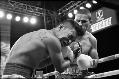 Bash Boxing