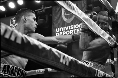 Bash Boxing