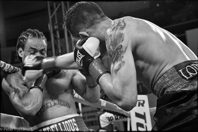 Bash Boxing