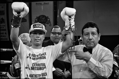 Bash Boxing