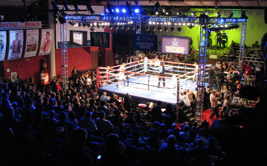 Bash Boxing