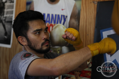 Bash Boxing