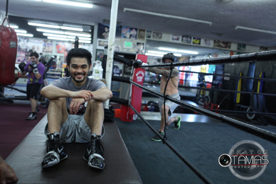 Bash Boxing