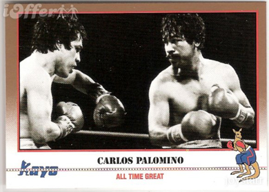 Bash Boxing