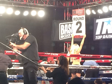 Bash Boxing
