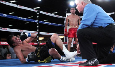 Bash Boxing