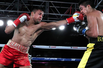 Bash Boxing