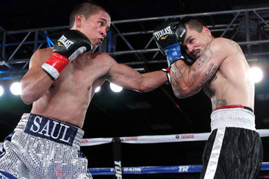 Bash boxing